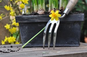 garden clearance in Rainham RM13